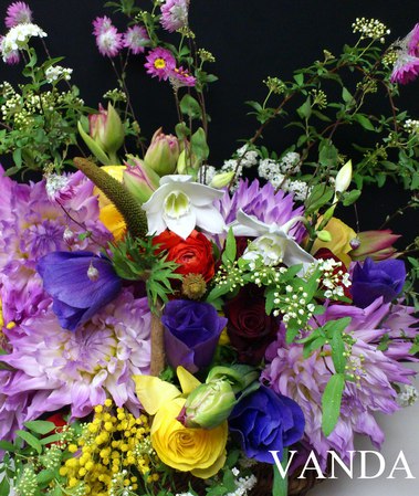 DSC_1272a.jpg