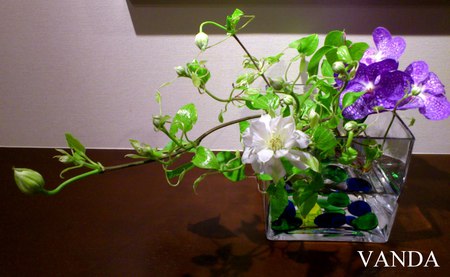 DSC_3284a.jpg