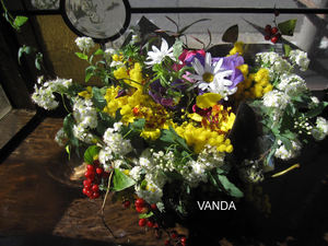 IMG_1397a.JPG
