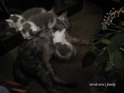 IMG_3521a.jpg