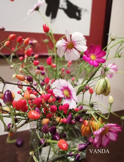 IMG_20180918_175459.jpg